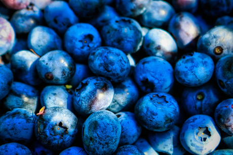 macetas para cultivo de arándanos.jpg